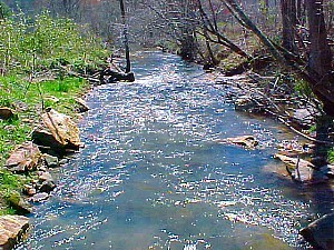 Boardtown Creek